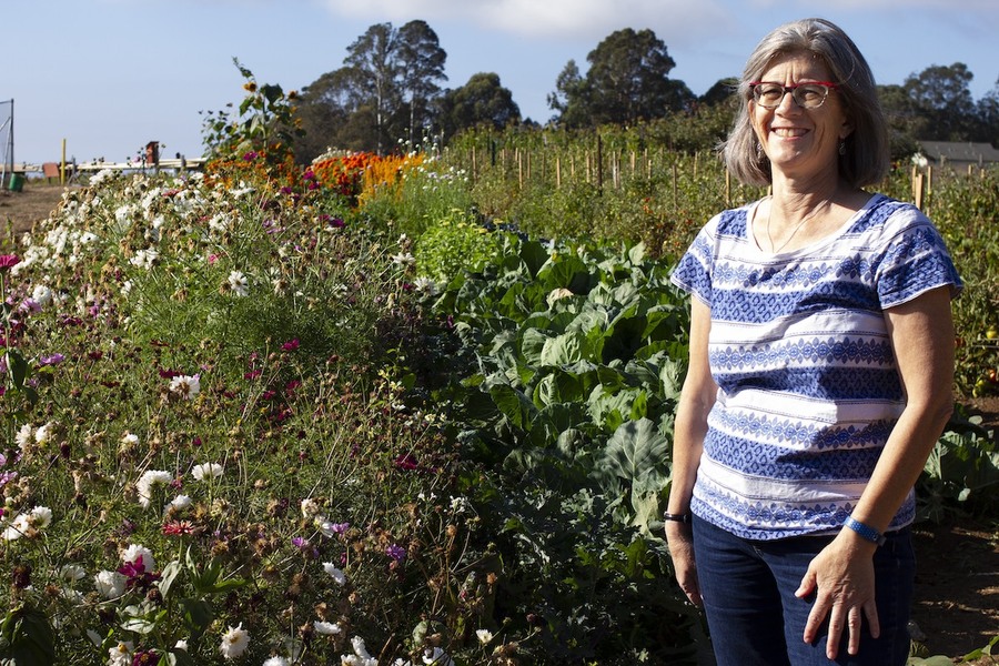 photo of Lisa Schaechter